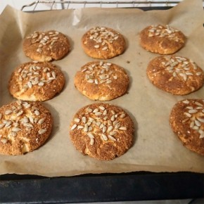 ������ ������� � ���������: ������� � �������� ������