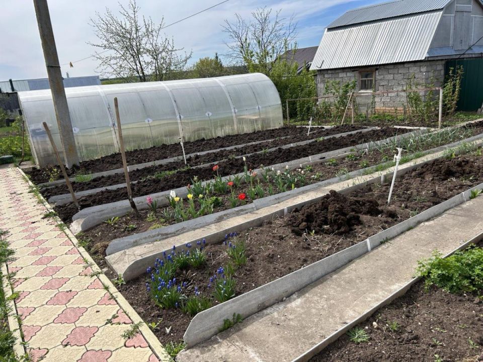 ����� �� ����: ���������� ������� ������