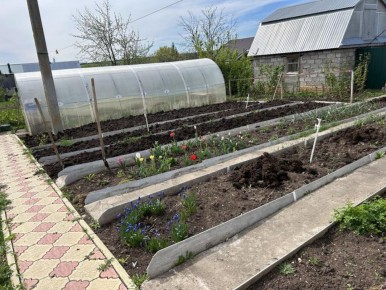 ����� �� ����: ���������� ������� ������