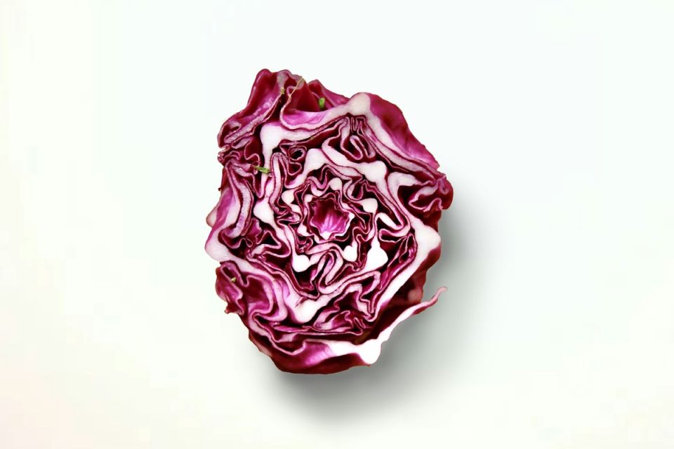 ��� ��������� �������� � ������� ����: ������ ��� ��������