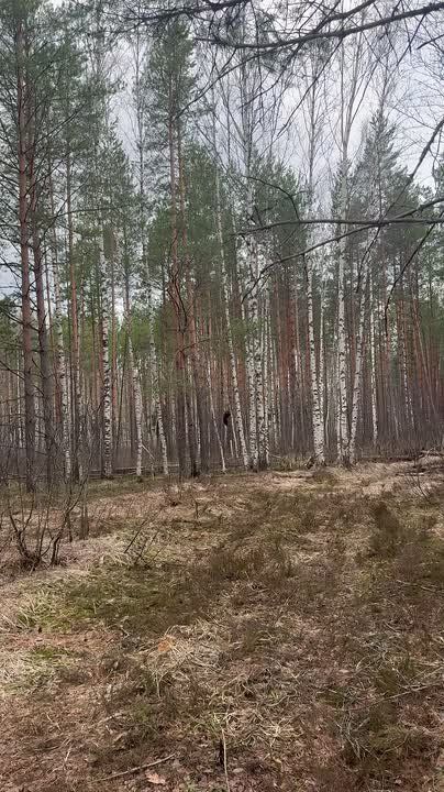 ������� � ������������� ����� �������� ����� � ������� ���������� ������������