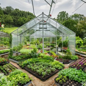 ��� ��������� ���� ������� �����������: ������������ �����������