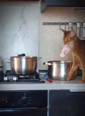 �������� �� ����� ������������ � ����������� �������