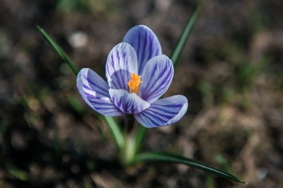 ��� ����� ������ � ������ ���� �����!