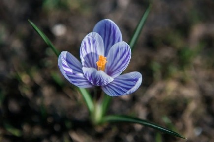 ��� ����� ������ � ������ ���� �����!