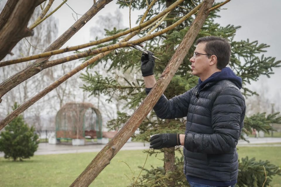 ���� ��������: ��� ������ ����� ���������� �������������� ����������, �������� �� ���������� ����������