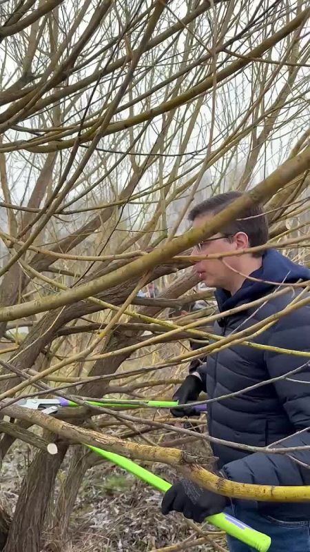 ����� 32 ���. ������������ ������� ������� � ������������� ����������