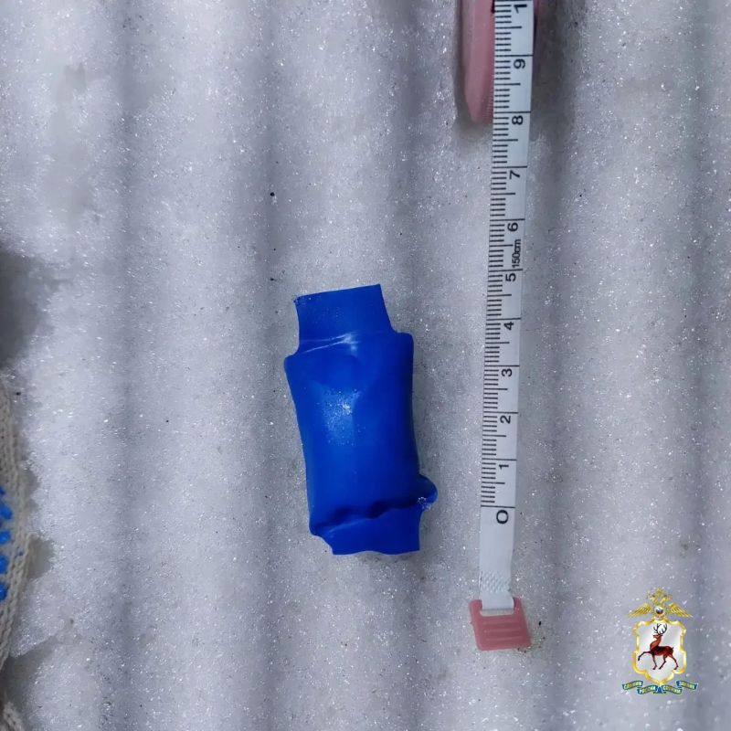 � ������������������ ������ ������������ �������� ������������� � ��������� �� ���������� ������ �������������� ���������