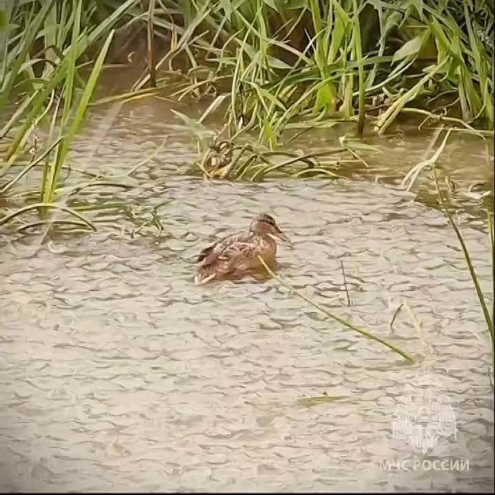 ������������ ������������ � ������� ������