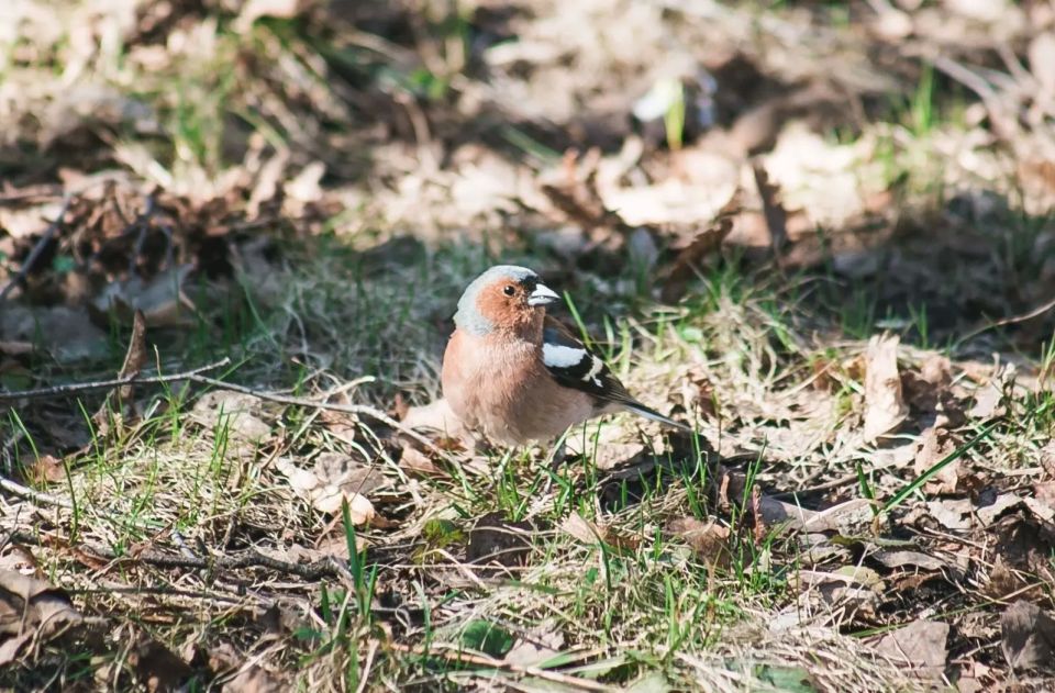 ������ ���� ��� ������ ������ �� ����� �������