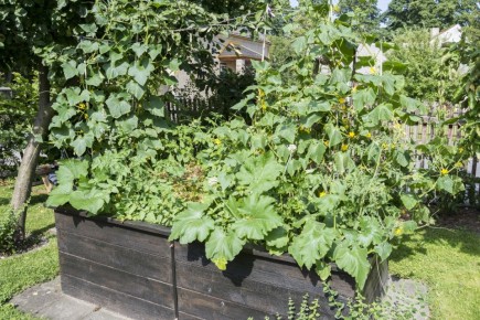 ������������ ���� ��� ���������� ������ � ����� �������