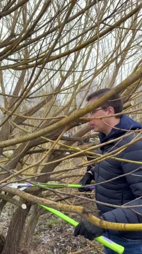 ���� ��������: ������� ������������� ��������� � ������� � ������ ������� ������� � ������ ����� ����������, ����� �� ������� ���� ������ �������