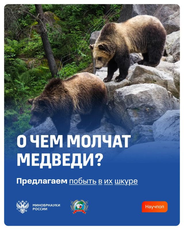 ����� ������� �������� ���������� �������� ��� �������� ���������� ��������������� ���������