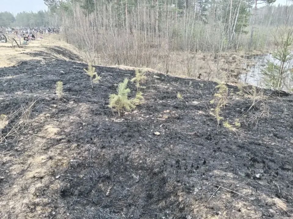 �������� �������� ����� �� ����� �� ������� ������� ���������