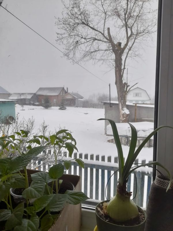 �� ������������� ������� ��� �����-�� ��� �������