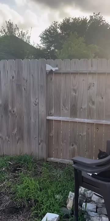 ��� �� ������������ ����� � ���������