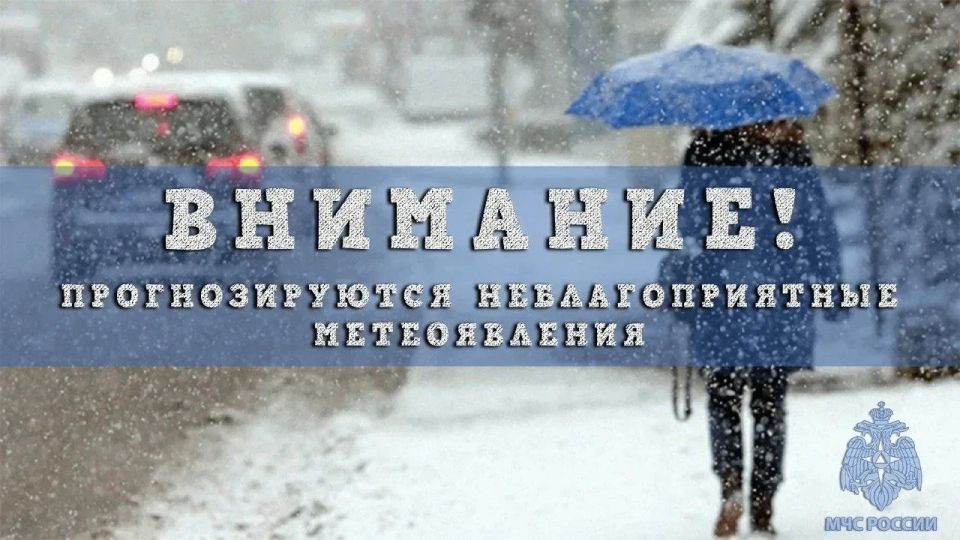 ���������� ������� ������ � ���� ������� �����, �����, ���������� ������� ������� �� ������������� ������� � �. ������� ��������� �� ����� ��� 21 ������ 2026 �