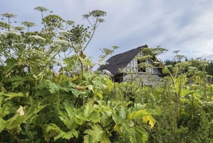 �������� ��������� ����� ����� � ������������� ������� �� 17 ��� ������