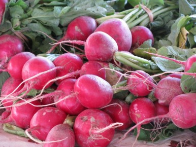 � ���� �����������: ������, ����� � ������ � ��� ��� ���������?