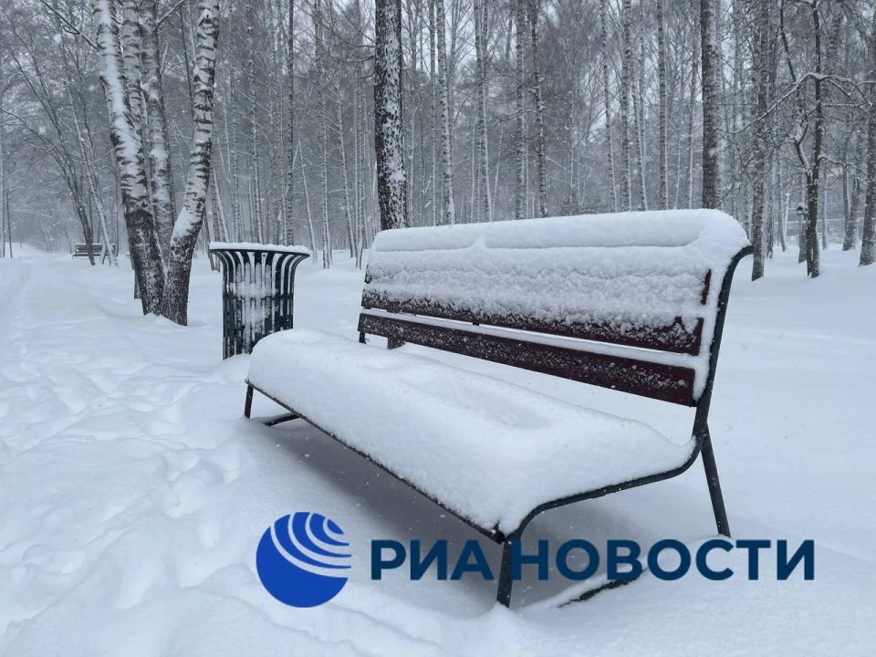 ������ �������� ������ ��������