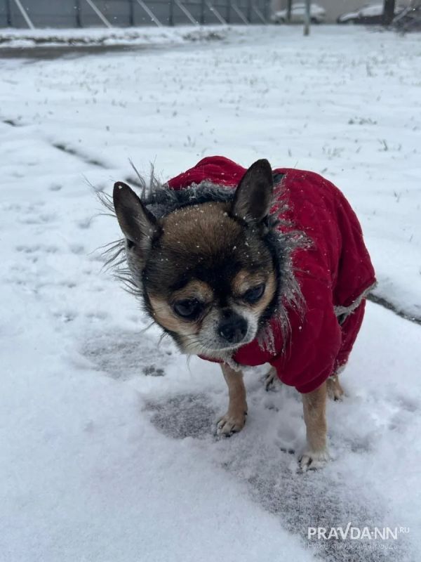 �� � ��� ���, ���� �����?