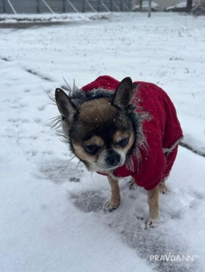 �� � ��� ���, ���� �����?