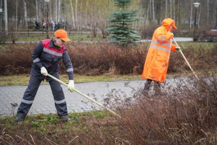 ����� � ���� �����������. � �������� �������� � ������ ��������� ������ ������������� ���������, � �������� ������� ��������������