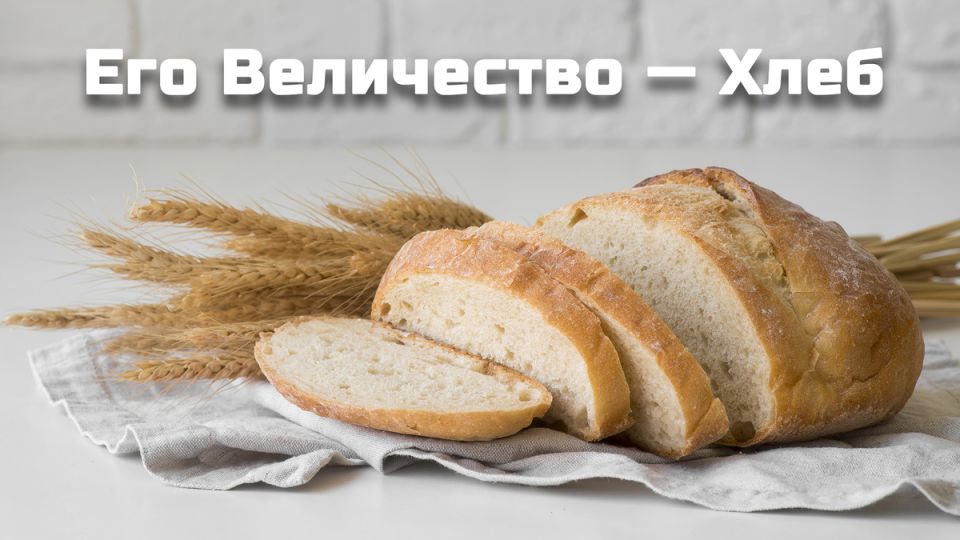 ����: ������ ����� � ��������, ������� ���������� ������