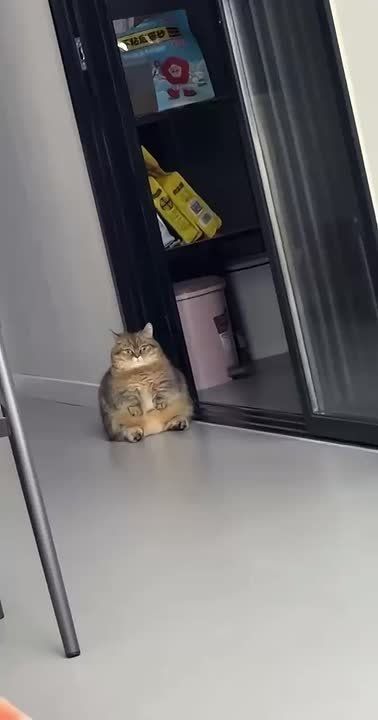 ��� �� ����� � ���������� ����������� ����