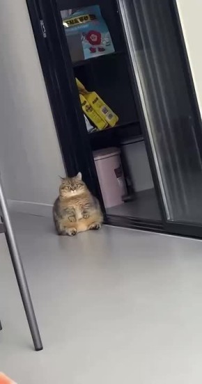 ��� �� ����� � ���������� ����������� ����