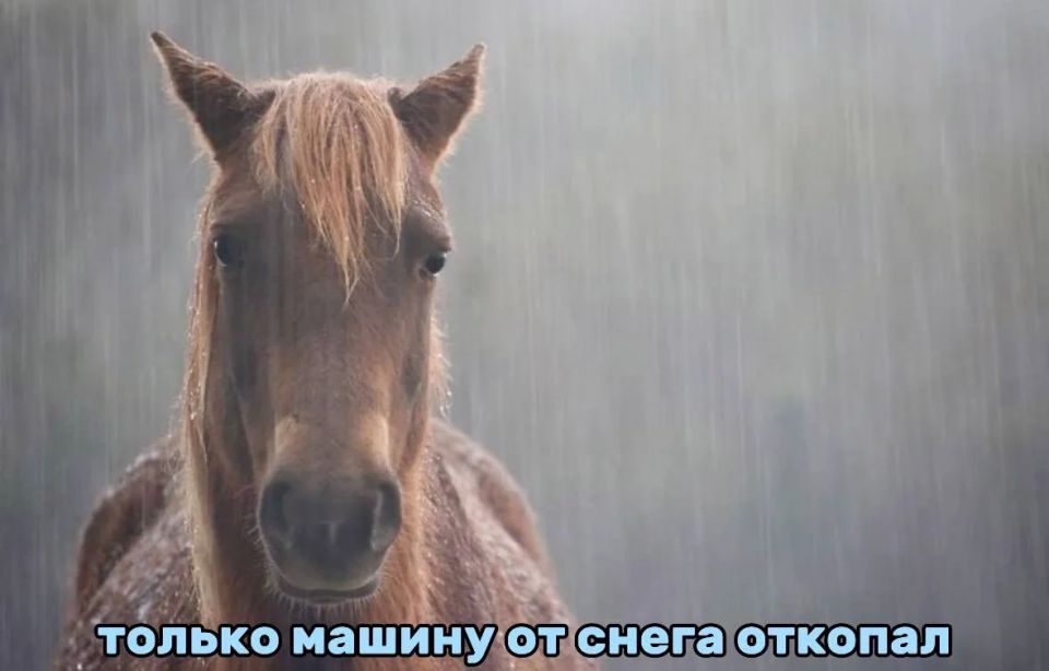 ���� � ������ ��������? ������ ��������� � �������� ������