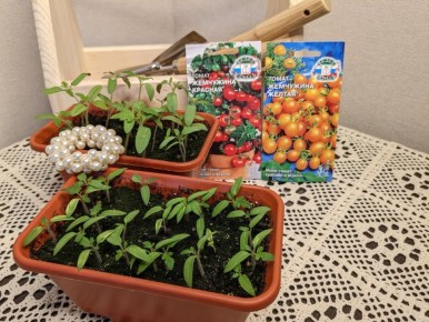 ��� ����� � ����� ������� ���������� ��� �� �������