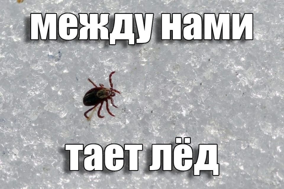 �� �� ��� ���������... ��� 148 ������������ ���������� � ������� ��-�� ������ ������, 53 �� ��� � ��� ����