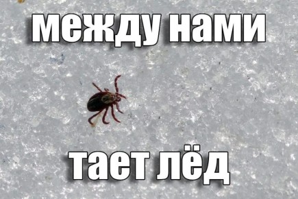 �� �� ��� ���������... ��� 148 ������������ ���������� � ������� ��-�� ������ ������, 53 �� ��� � ��� ����