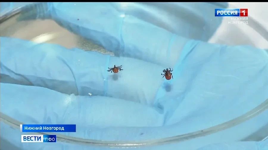 148 ������� ��� ���������� �� ������ ������ � ������������� �������