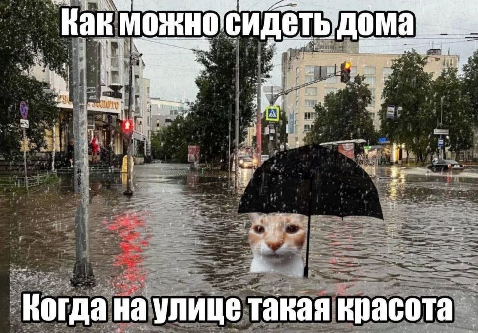 � ������ � �� ����� �������� �������� � ����� ���������� ������� � ������������� ������� ������ �������� �����