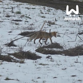 ��������� ����� ����� �������� � �������� � ������ ������� ��������