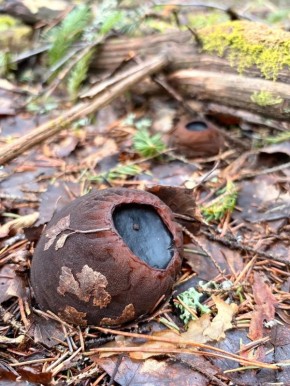 �������� � ������������� ����� � ��������� ���� �� ������� ����� ������