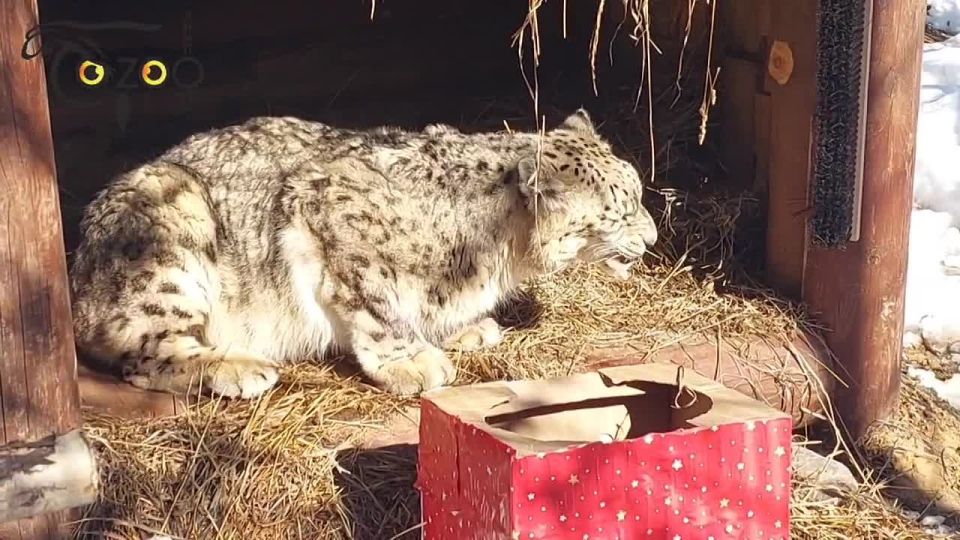 ������� ����� ���� � ����� ������ �����