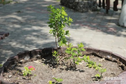 ����� 600 ����� �������� ������� � ������ ���������