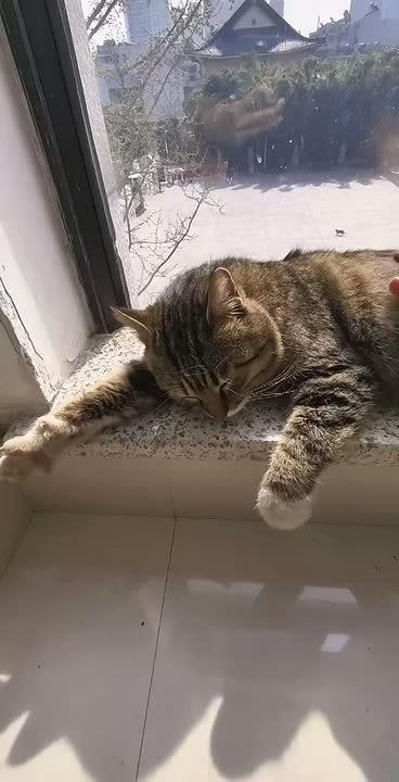 � ��� �� ��� ������� �� ������, ������� ���� ������