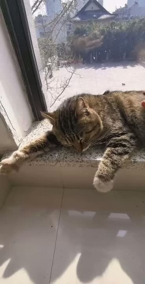 � ��� �� ��� ������� �� ������, ������� ���� ������