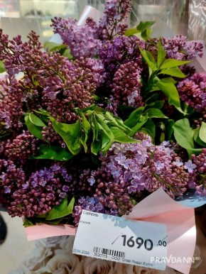 ��������� �������������!. ����������� ������ ������� � ������ ��������