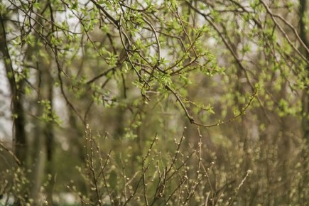 ����� ����� ���������, ������ ���� ���� � ������ ������ � ������ � ����� ��� �����