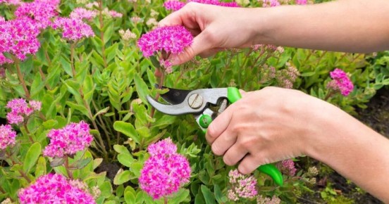 ������ ������� ������: ������� ������������ ���������������� �����