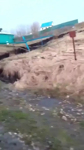 �������� � ����������������� ������ ������� ��� ���� ����� 40 �����