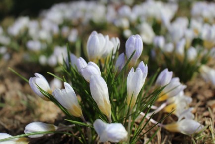 �������� ����������, ������� ������ ���� � ������