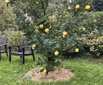 ��� ��������� �������� ������� �������: ������ ��� ���������