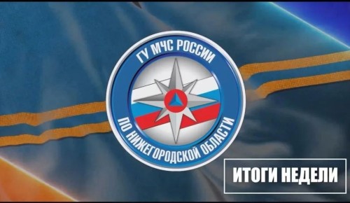 �� �������� ������ �� ���������� ������������� ������� ���������������� 43 ������