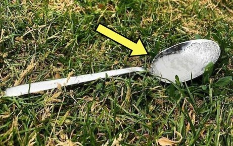 ������ ������� ����� ������� ����� � ������� � ����